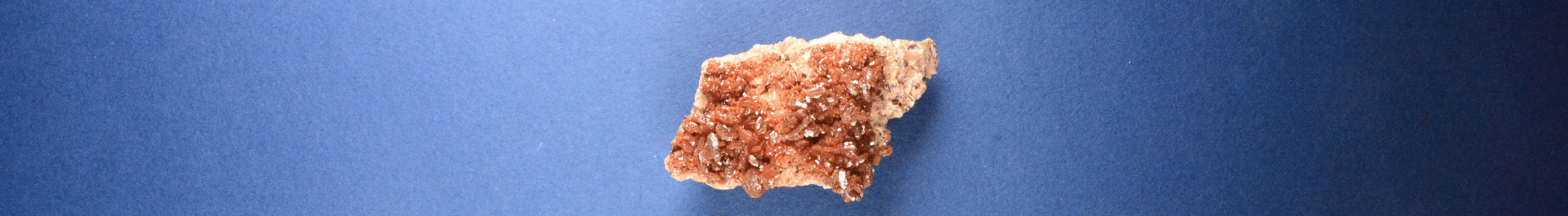 Panoramiczny baner ze zdjęciami